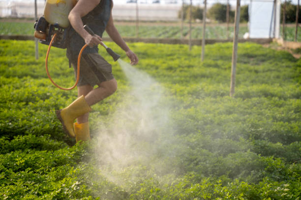 Best Best Pest Control Companies  in Gettysburg, PA