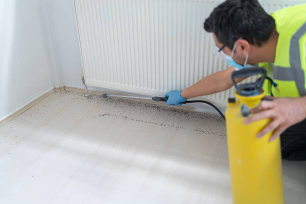 Best Mosquito Control Services  in Gettysburg, PA